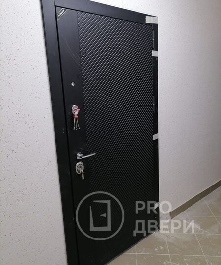 Портфолио PRO ДВЕРИ. Входные двери